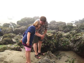 Cannon Beach, 2010