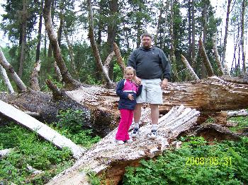 Sitka Spruce Stump, 2008