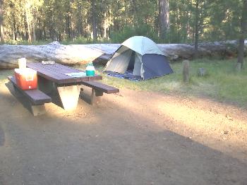 Camp Gorge, 2012