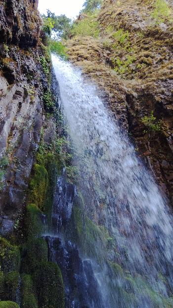 Dry Creek Falls - 2013