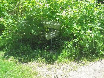 Forest Park Trails, 2012
