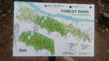 Forest Park Trails: Wildwood, Tolinda, and Waterline - 2018