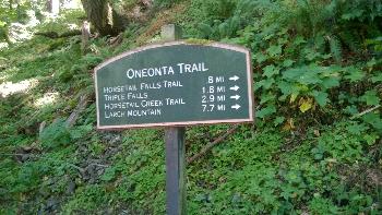 Horsetail, Triple, and Oneonta Gorge Waterfallss, 2015