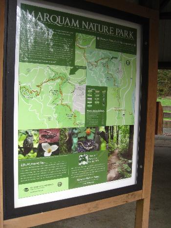 Marquam Nature Trail, 2011