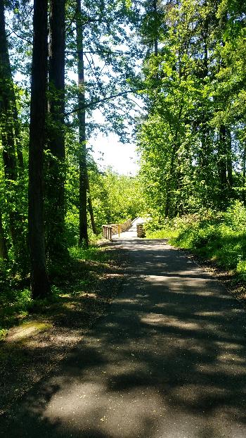 North Johnson Creek Trail, 2018