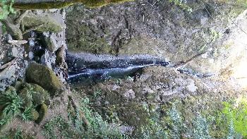 Soda Springs and Soda Creek Falls, 2016