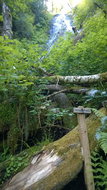 Wilson Falls - 2015
