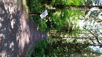Yukwah Nature Trail, 2016