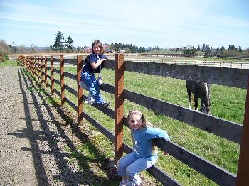 Farm Visit with Houghtons, 2009
