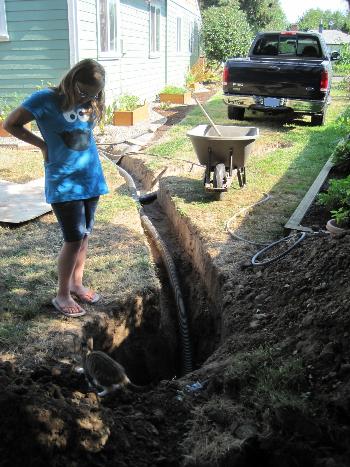 New French Drain, 2011