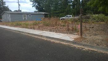 Mom & Alvin's lot in Sweet Home