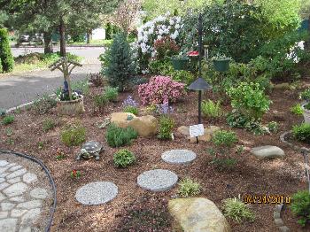 Mom's Yard, 2010