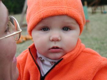 Pumpkin Patch, 2002