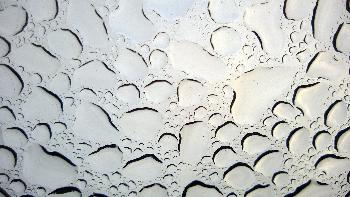 Rain Abstracts, 2017