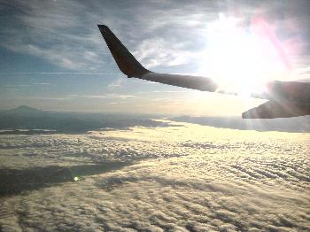 Sacramento Flight, 2010