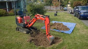 Front Yard Tree Planting, 2017