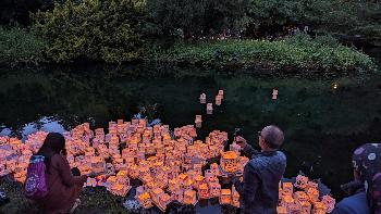 Water Lantern Festival, 2024