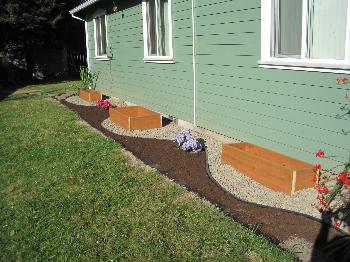 Yard Redesign, 2011