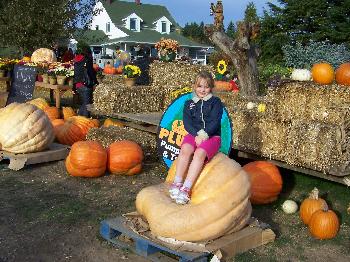 Pumpkin Patch, 2008