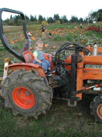 Pumpkin Patch, 2003