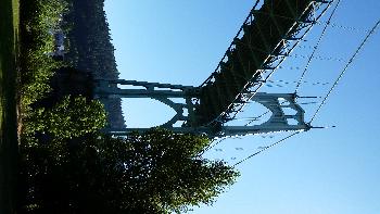 Cathedral Park, 2016