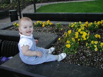 Dawson Creek Park, 2003