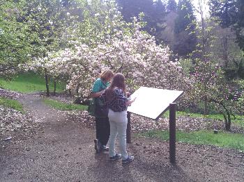 Hoyt Arboretum - 2013