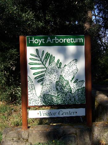 Hoyt Aboretum, Fall, 2007