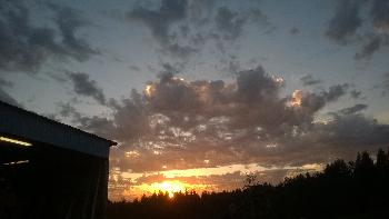 Barn Party Sunset, 2015