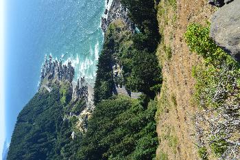 Cape Perpetua, 2023