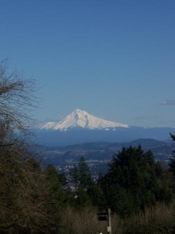 View from Council Crest, 2010