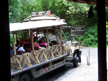 Disney World - Animal Kingdom, 2008