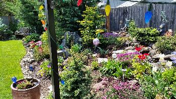 Homer & Donna's Back Yard, 2015