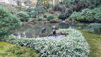 Japanese Garden, 2015
