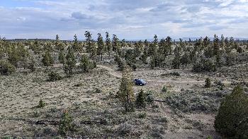 Lost Forest, Central Oregon, 2023