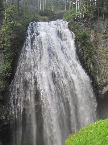Narada Falls, 2012