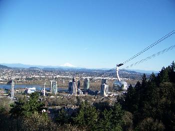 OHSU Platform, 2010