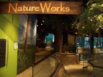 Orlando Science Center, 2008