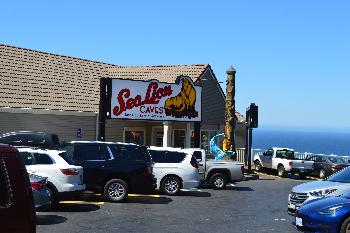 Sea Lion Caves, 2023