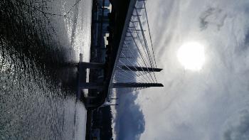 Tillicum Bridge, 2015